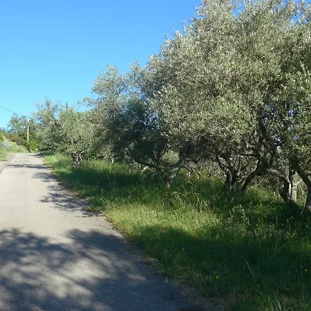 לינה וארוחת בוקר La Colline Bleue 3*